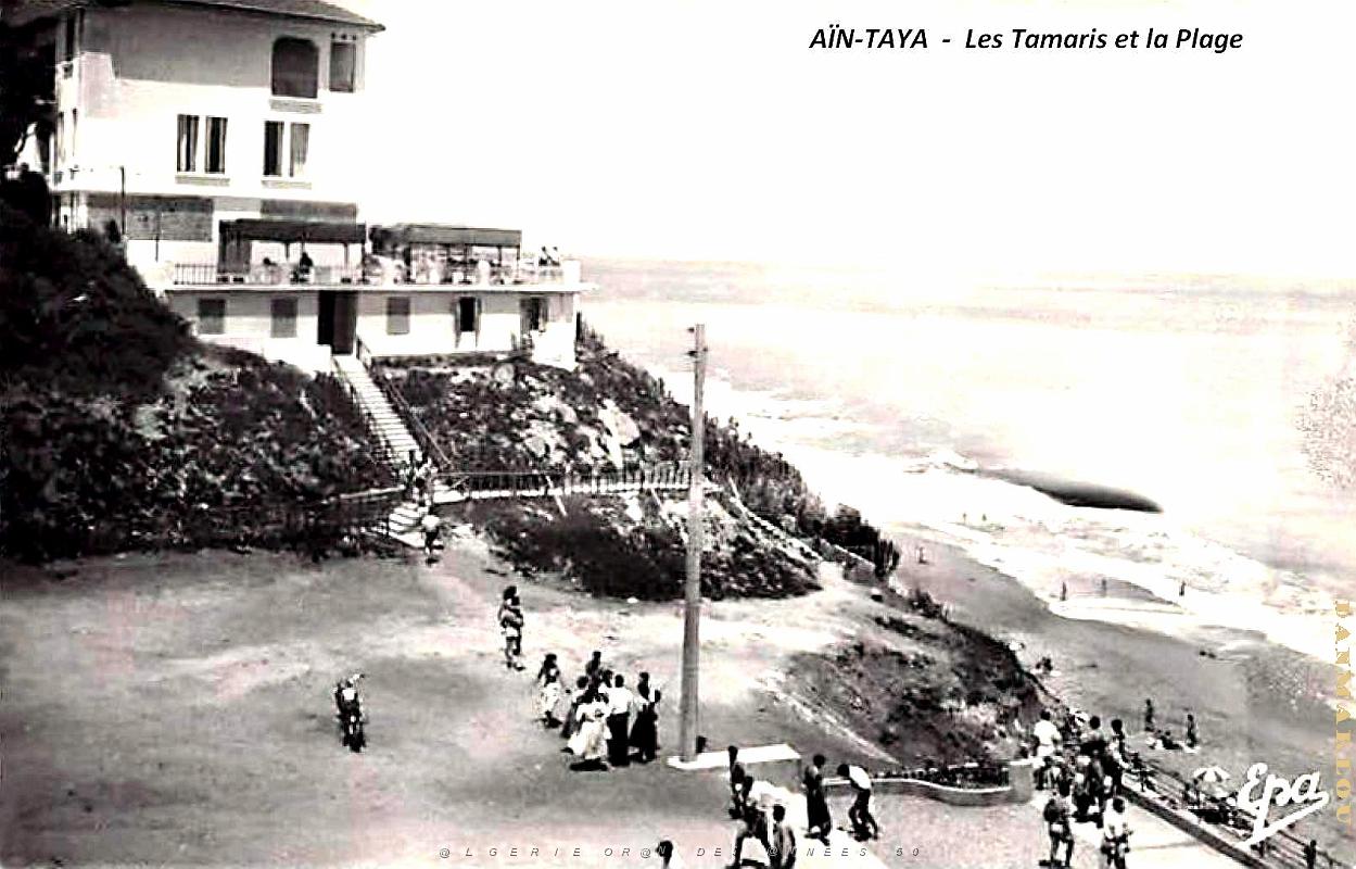 Ain-Taya - Tamaris et Plage.jpg